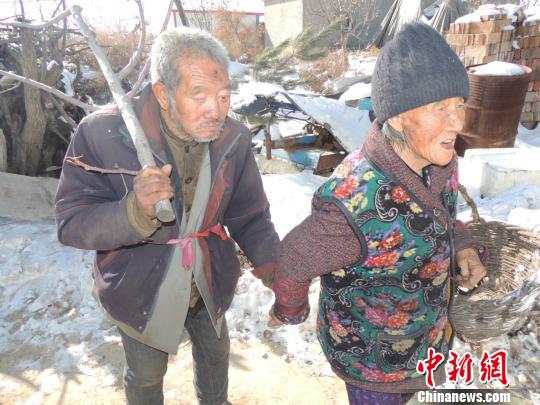  87qϵܵ63 (qing) z