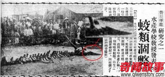 1934年營口墜龍事件走近科學(xué)專家的解釋 轟動全球!