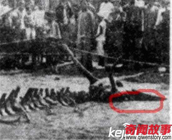 1934年營口墜龍事件走近科學(xué)專家的解釋 轟動全球!