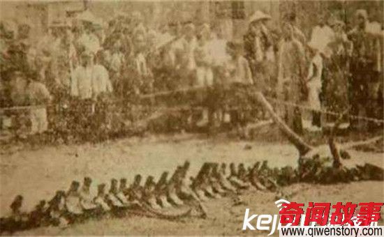 1934年營口墜龍事件走近科學(xué)專家的解釋 轟動全球!